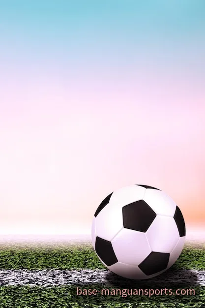 体育赛事内容与观赛氛围